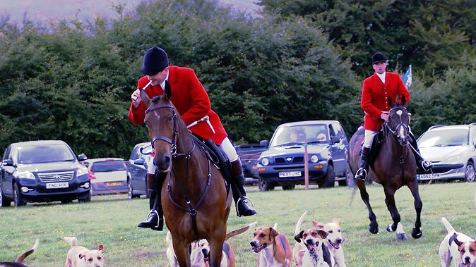 Exford Show