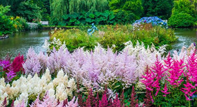 marwood gardens