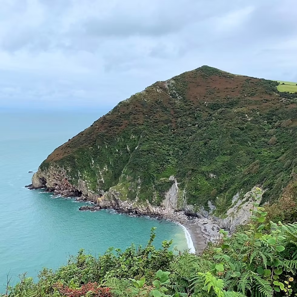 Overlooking Wild Pear beach with Little Hangman